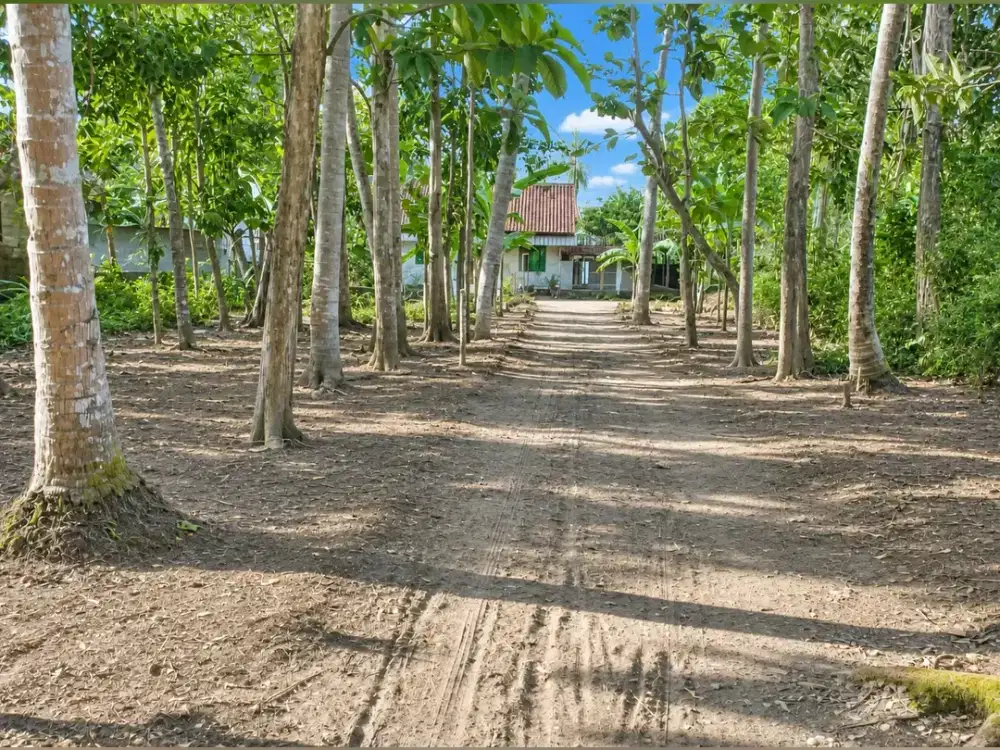 Dijual Pekarangan Luas 1.540 m2 SHM Bonus Rumah di Purwodadi Purworejo, Kabupaten Purworejo