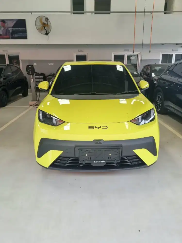 BYD Atto 1 Premium, BYD M6 DM