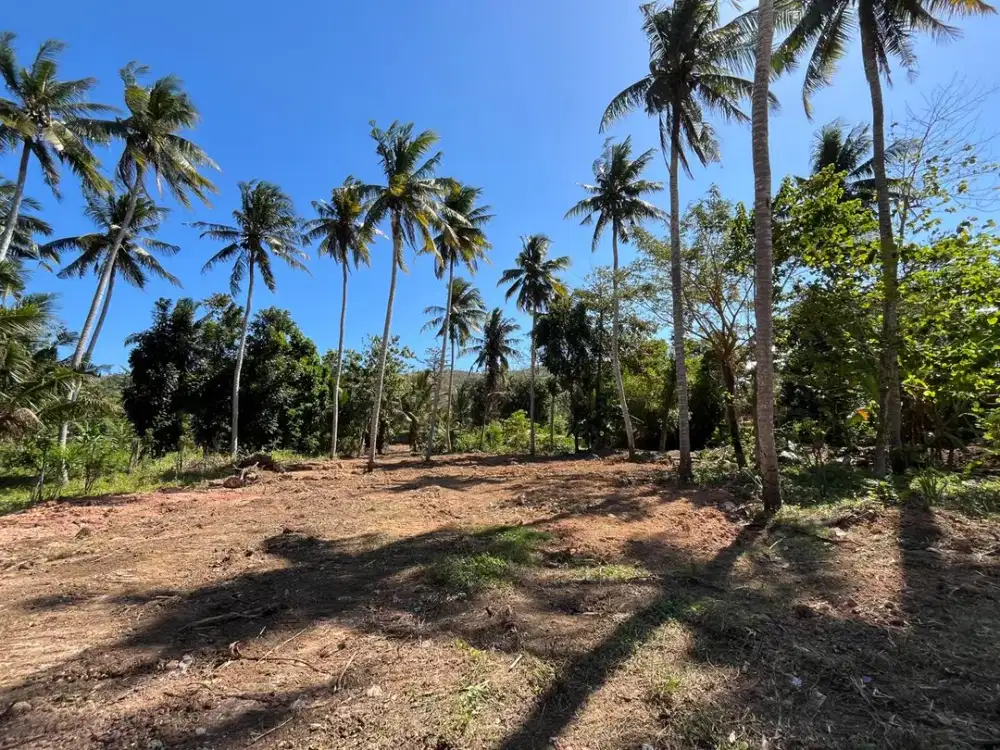 Tanah kapling view laut prabu areguling dekat Kuta Mandalika Lombok