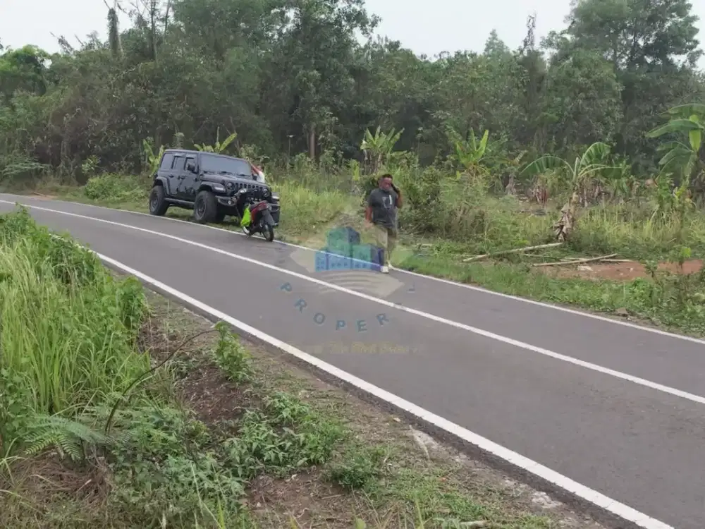Tanah di jl Cisemut - Sangiang Tanjung Kabupaten Lebak, Banten