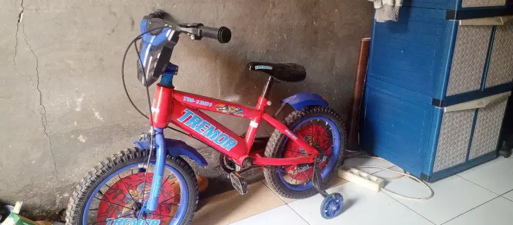 Sepeda anak-anak