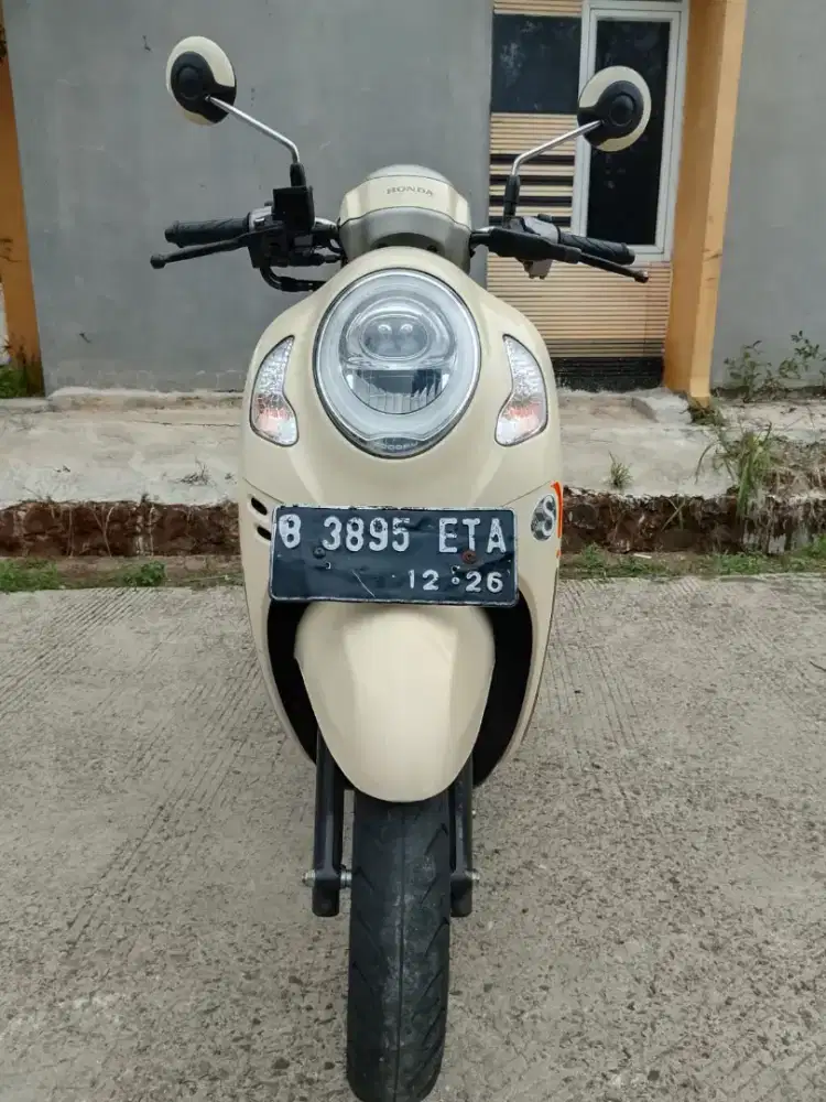 Ayu_SCOOPY CREAM 2021