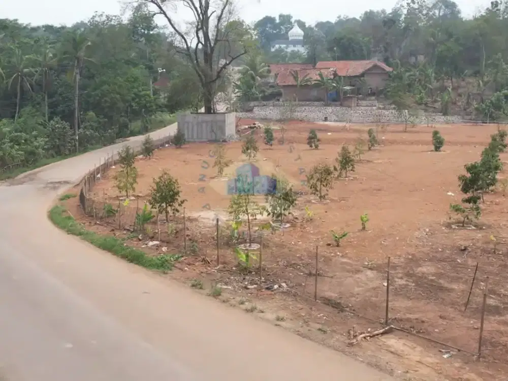 Tanah di jl Cirojo - Pasirtanjung Kabupaten Lebak, Banten