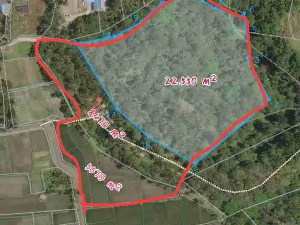 Tanah 3,6 Ha Los Sungai Ayung Petang Badung