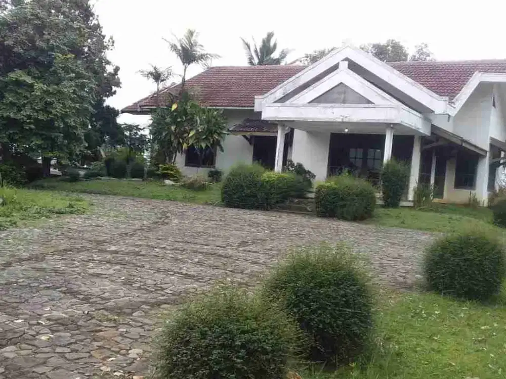 Dijual Tanah  Perkebunan