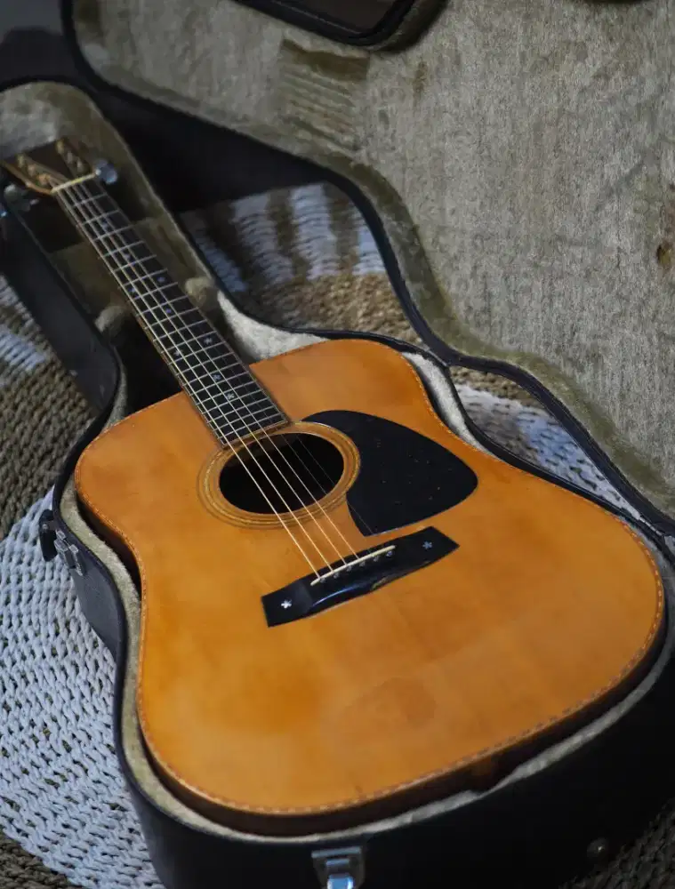gitar vintage rare