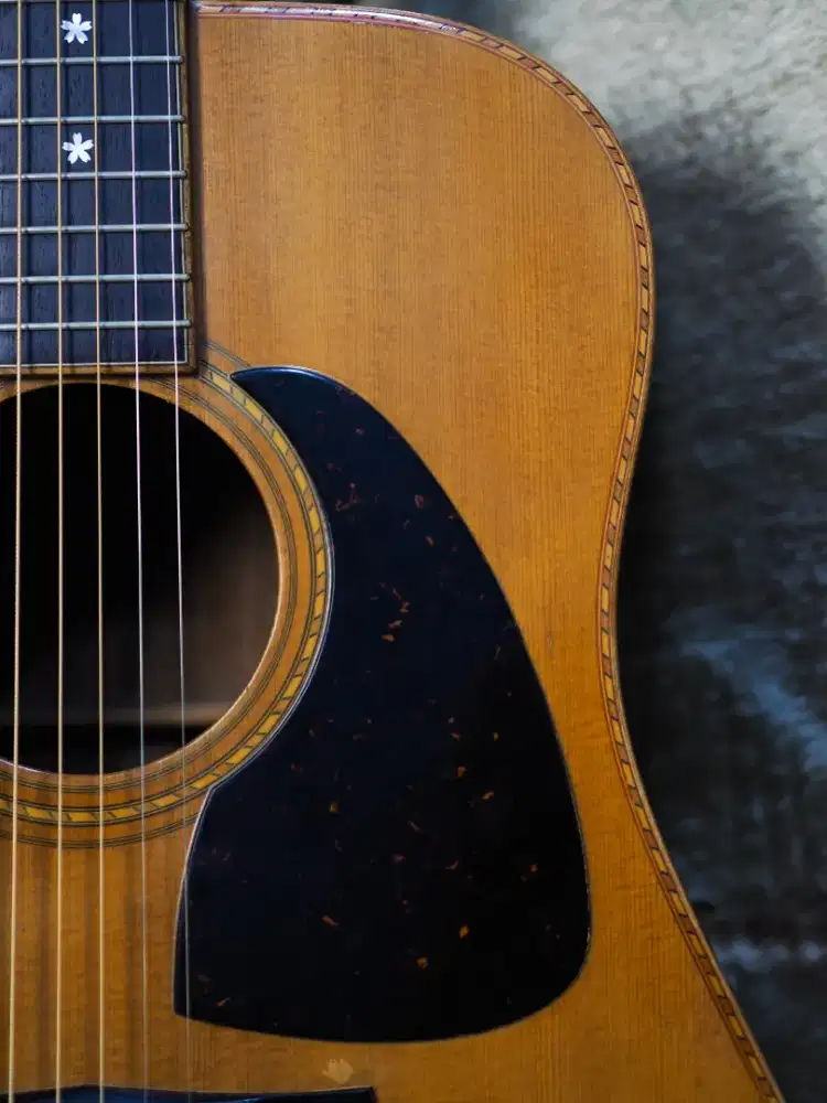 Gitar Aria AW-30