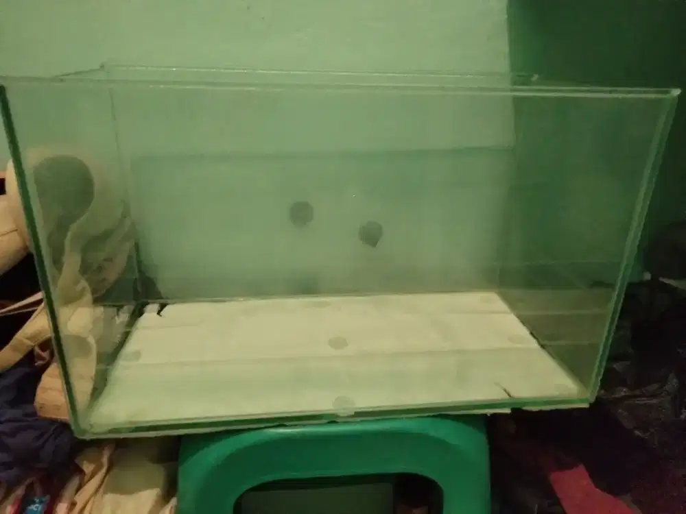AQUARIUM UKURAN 60 X 30 X 30