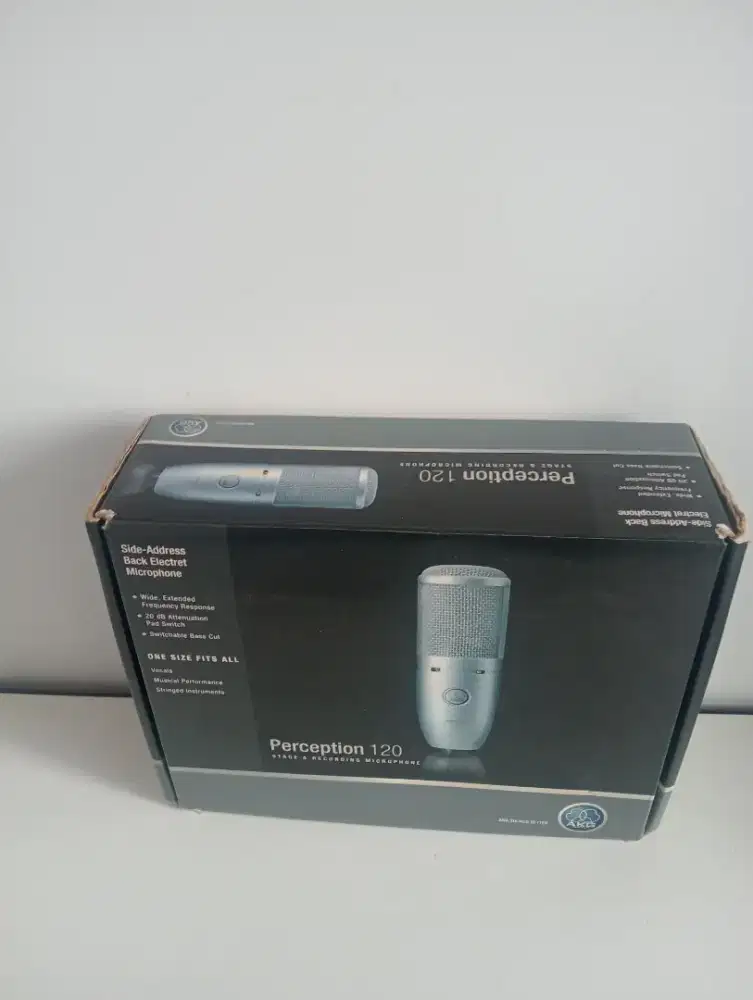 Mic Condensor Akg P120 Legend