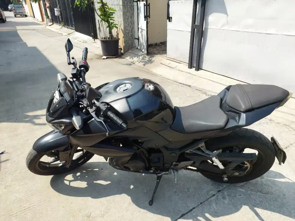 Kawasaki Z Series 2019