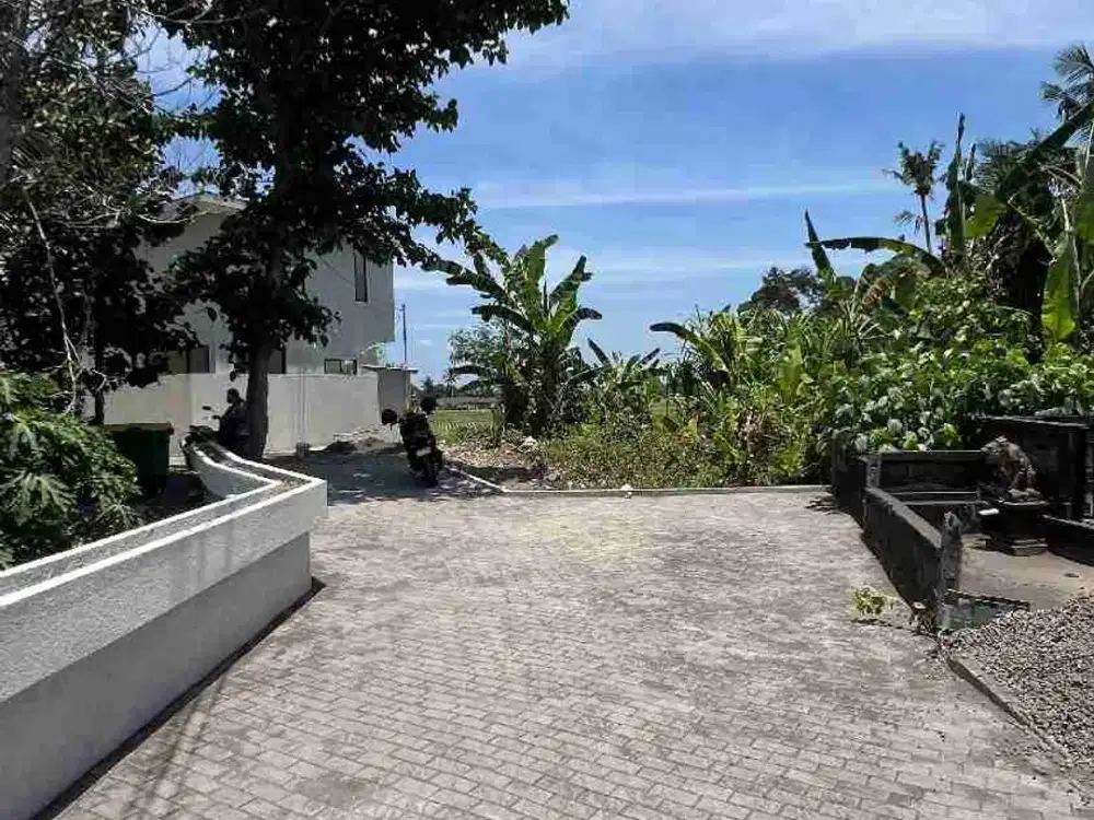 DIJUAL CEPAT TANAH SUPER PREMIUM STRATEGIS LOKASI BERADA DI LOD TUNDUH UBUD GIANYAR BALI. LINGKUNGAN PRIVATE VILLA LAHAN INI SANGAT COCOK DI KAVLING VILLA / DI BUAT KOMPLEKS VILLA / DI BANGUN HOTEL TANAH INI SANGAT DEKET KE MONKEY FOREST & CENTRAL UBUD.