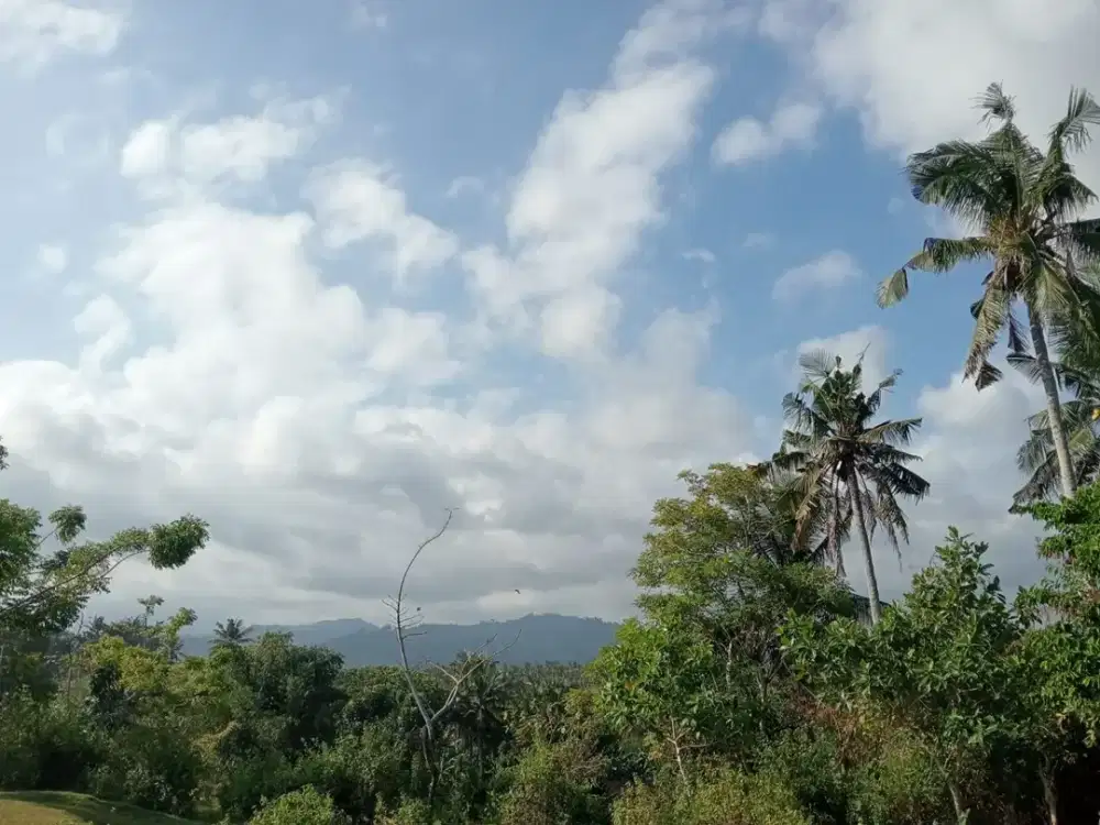 Dijual Tanah Berlokasi di Kawasan Berkembang Legalitas SHM