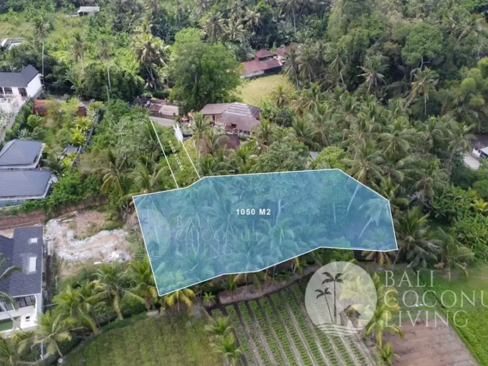 10,5 ARE LAND FOR SALE IN ABIANSEMAL- FREEHOLD