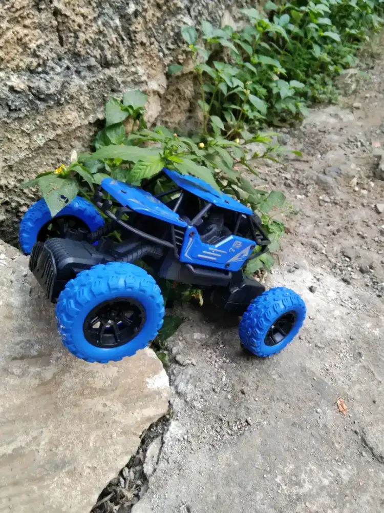 RC - Mobil Climbing
