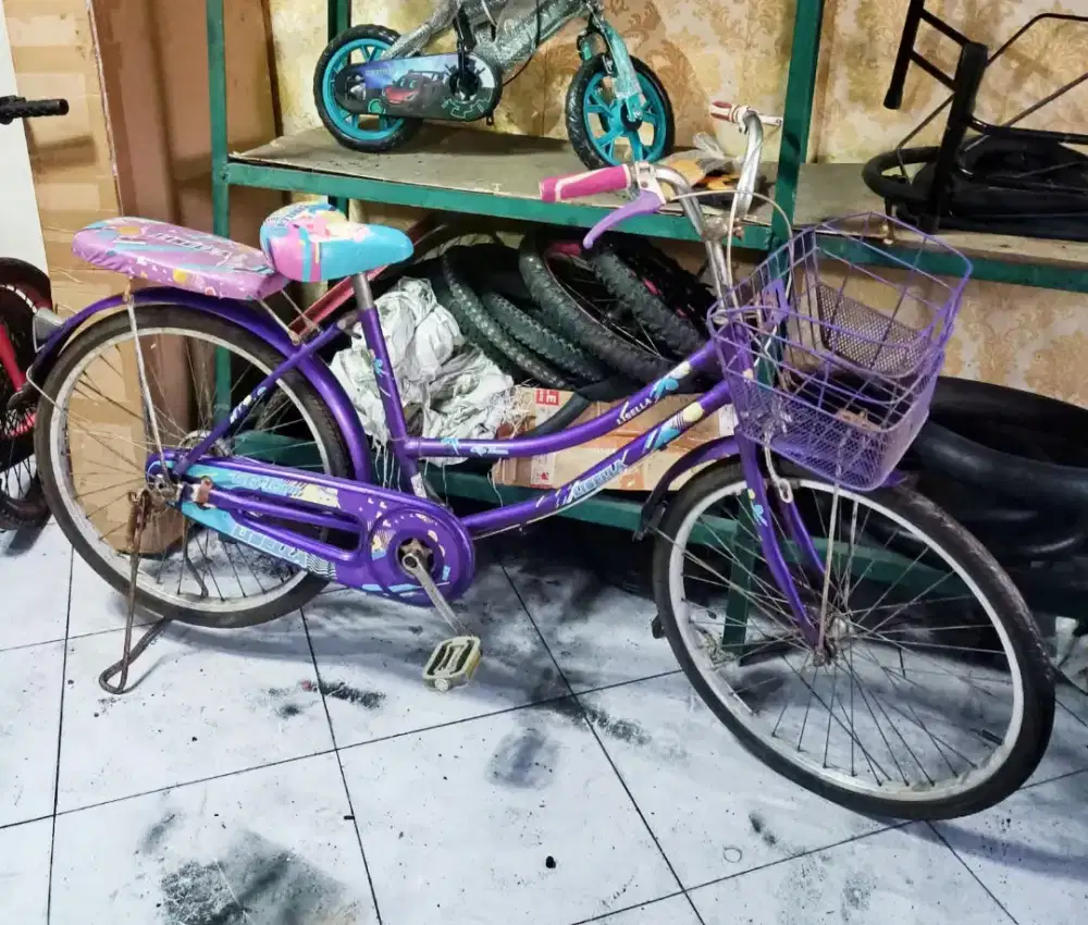 Sepeda 24 Lisela Siap Goes Siap Antar Bisa TT
