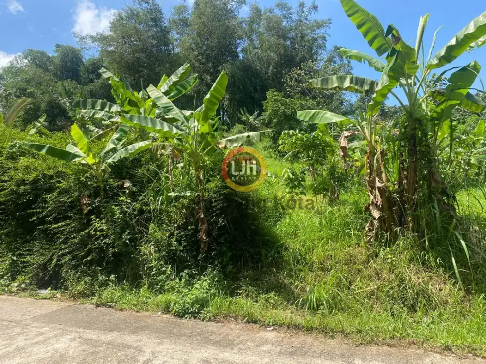 Jual Tanah Kavling di Secang Magelang