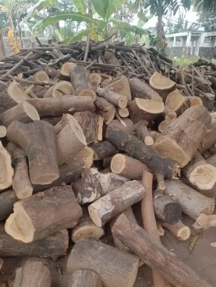Jasa tebang pohon dan babat lahan