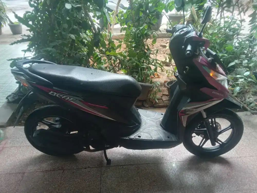 Beat eco 2018 merona