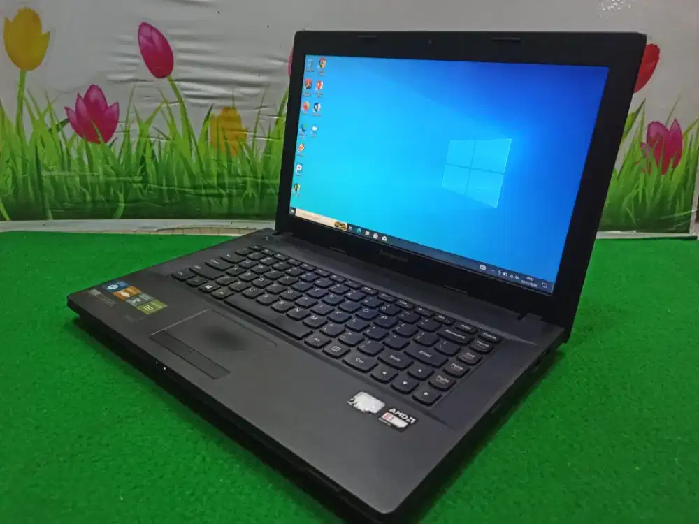 Lenovo Ideapad G405 AMD E1-2100/4 GB /500GB