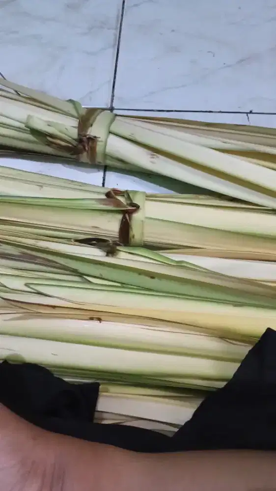 Dicari penjual janur