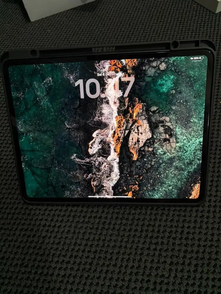 Ipad Pro M5 13 512gb Cellular Inter