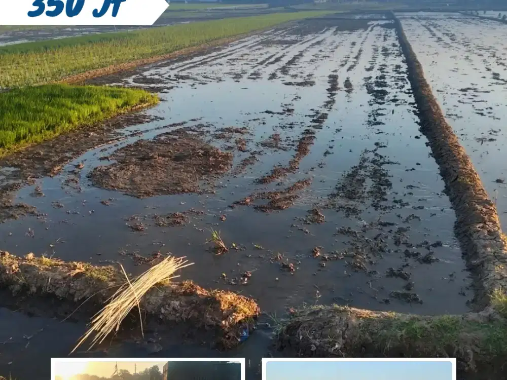 Dijual Sawah Produktif Di Kemiri, Kebakkramat