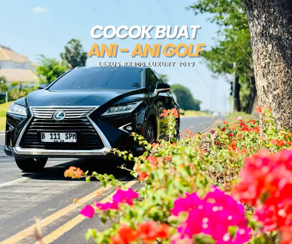 [TERMURAH] LEXUS RX300 2019 BS TT RX200T 2017