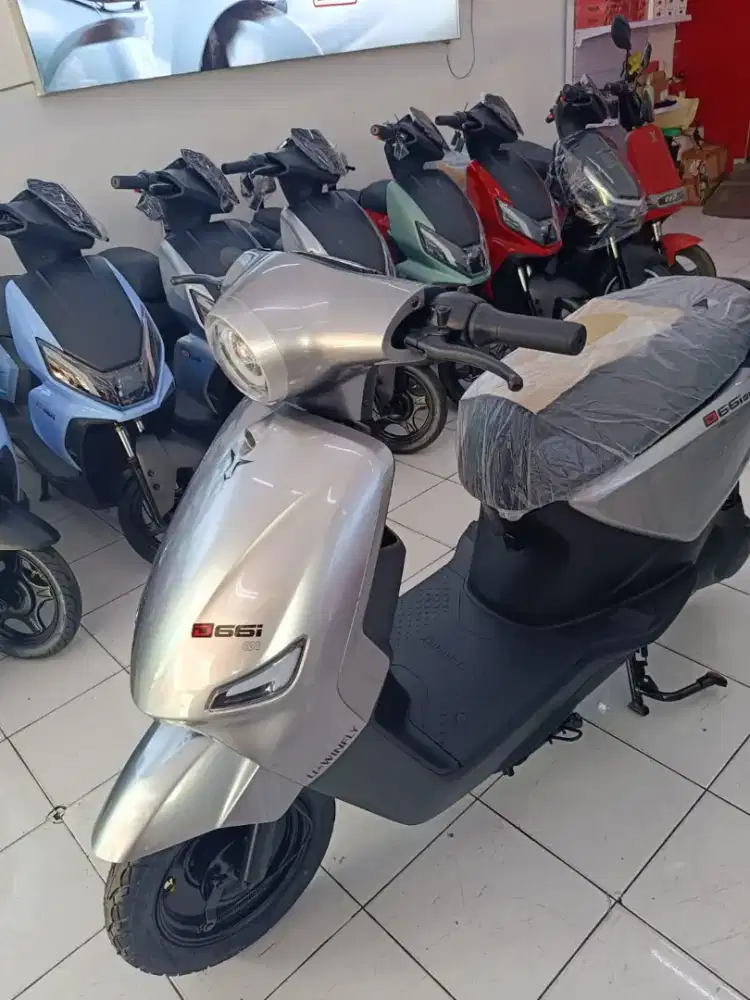 Sepeda Listrik D66i