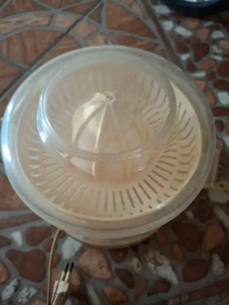 Alat peres jeruk listrik