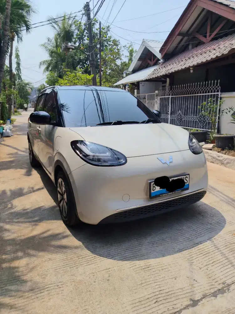 Wuling binguo premium range