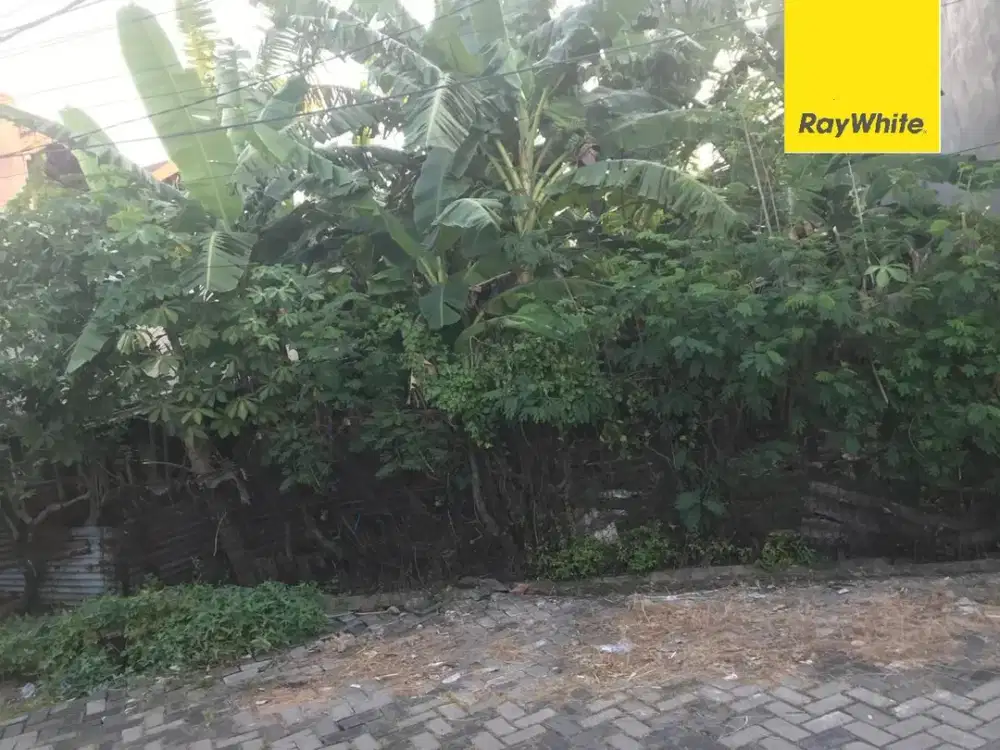 Tanah Dijual Dijalan Kertomenanggal Surabaya