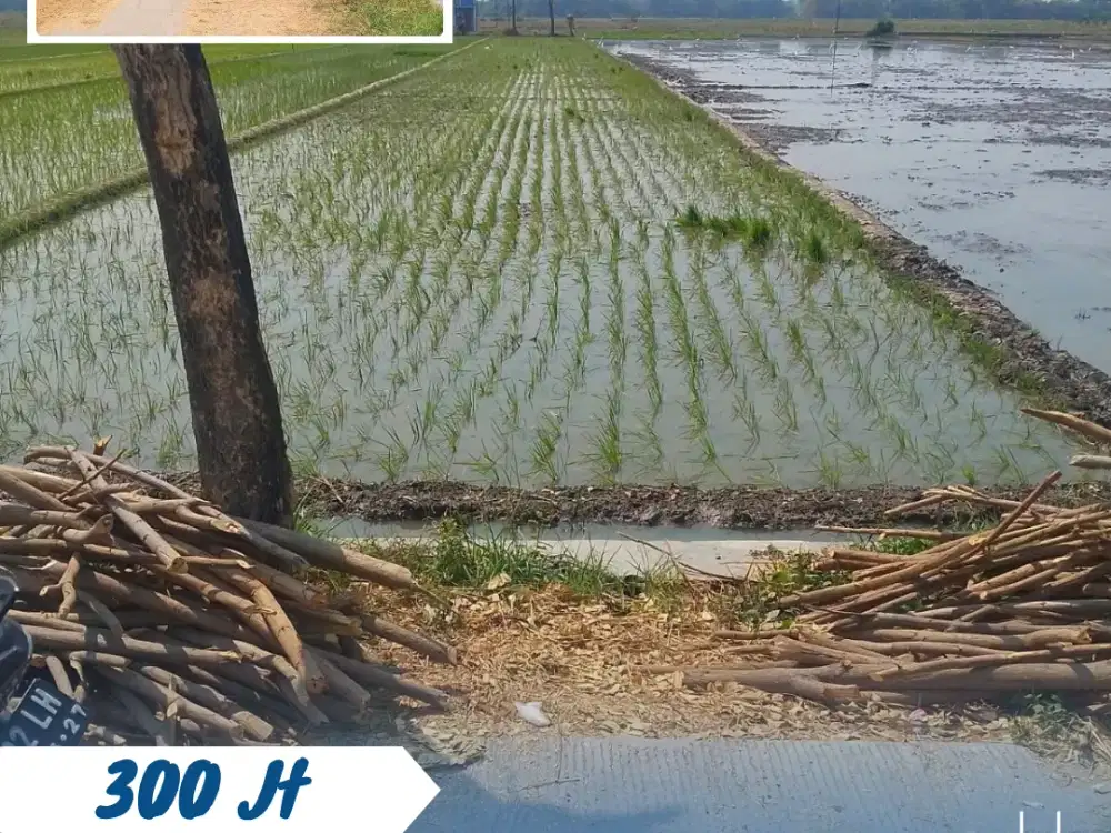 Dijual Sawah Produktif Di Kebak, Kebakkramat