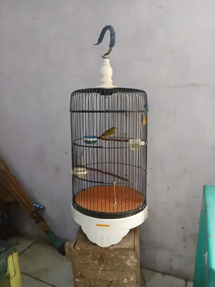 Sangkar/kandang +