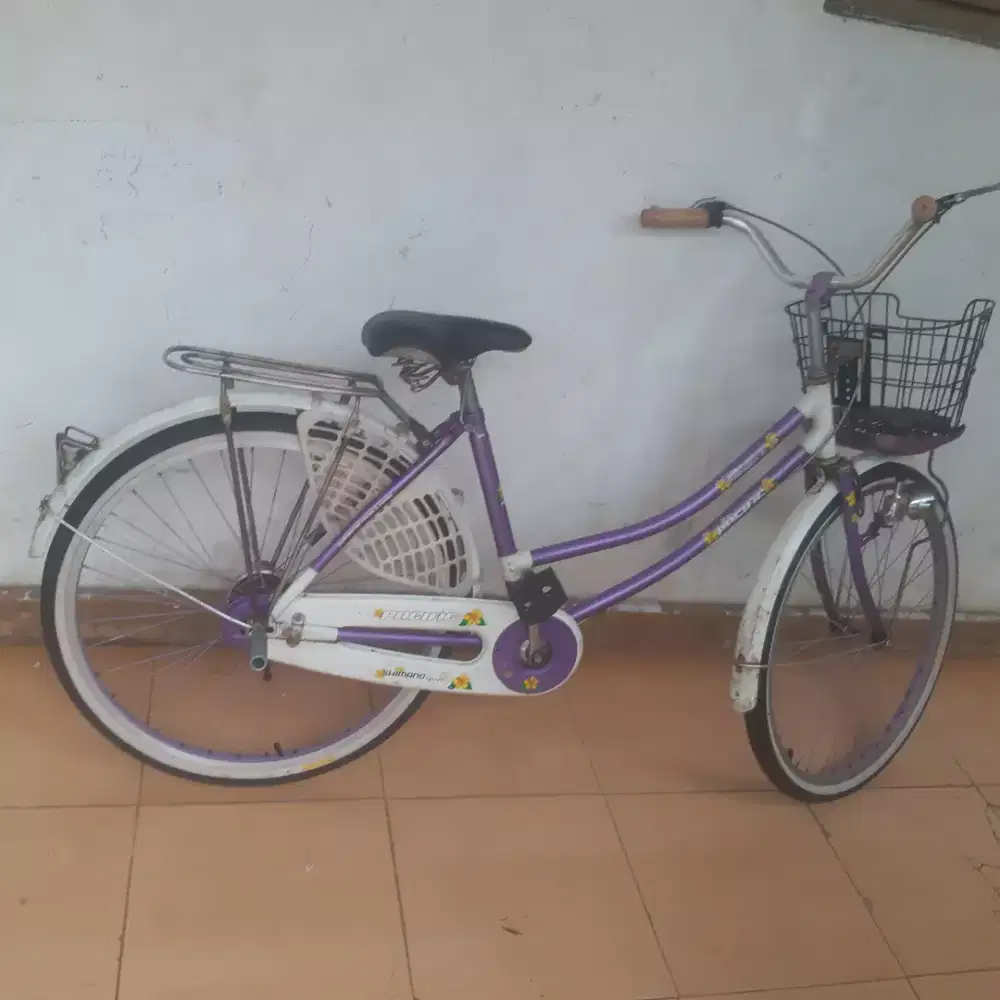 Sepeda mini pacific 26 inch