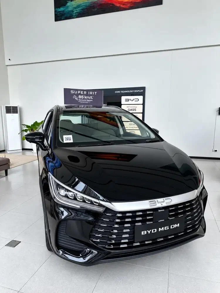 [DP 45] BYD M6DM Cross Advanced MOBIL BARU