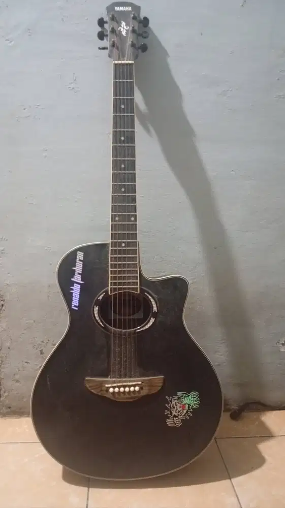 Apx 500 II Costom