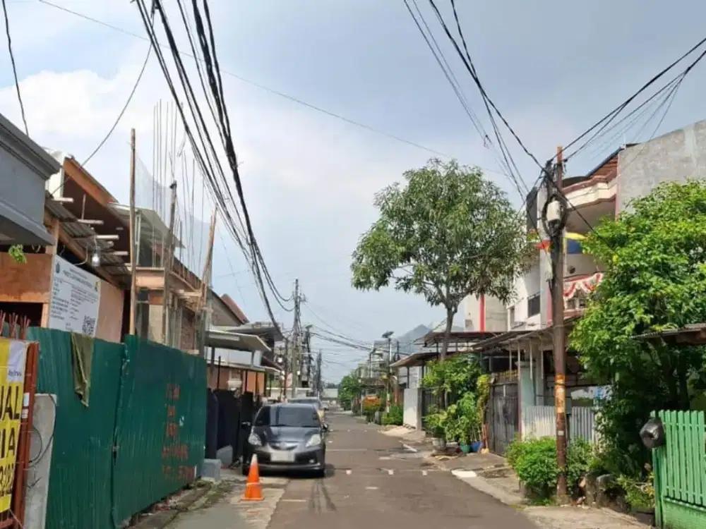 Rumah Kelapa Molek, Kelapa Gading