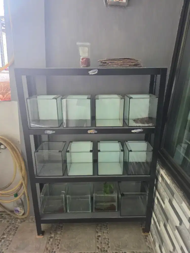 Rak aquarium set