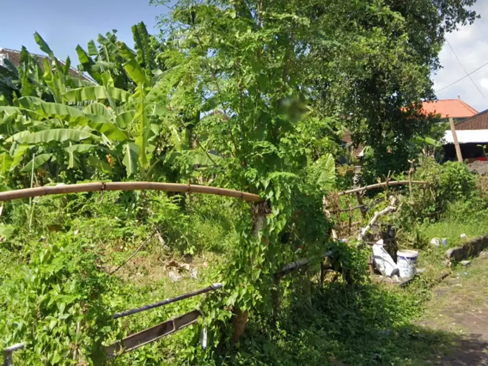 Land in Dalung 800 sqm