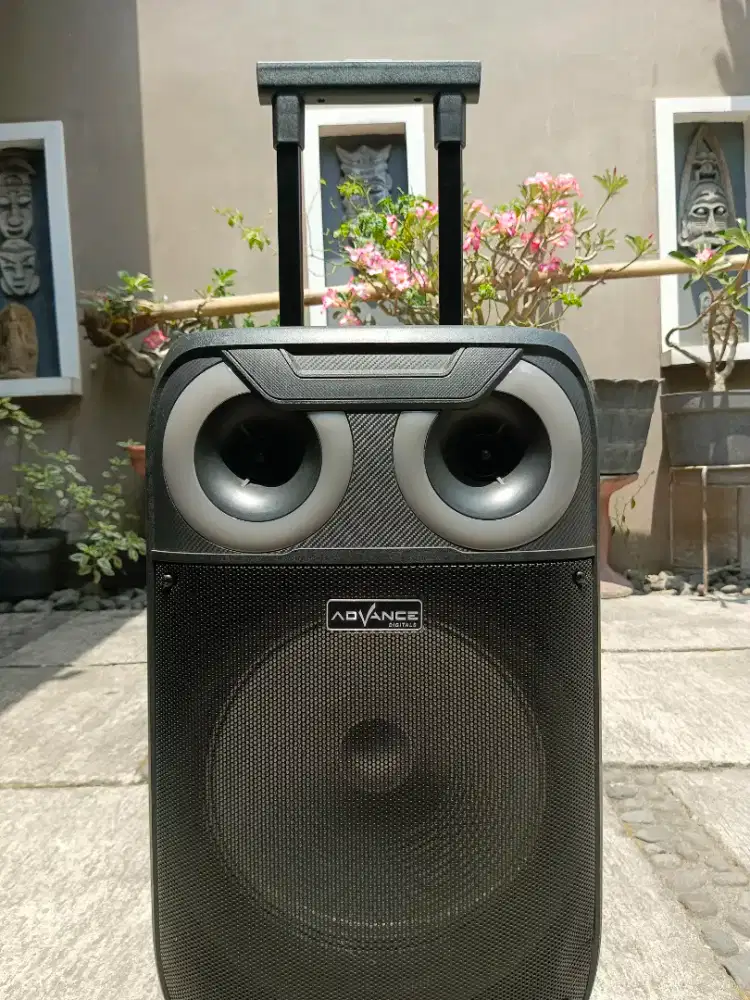 Wireless portable