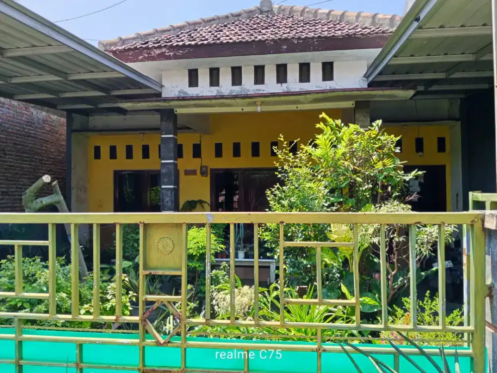 Beringin citra mandiri