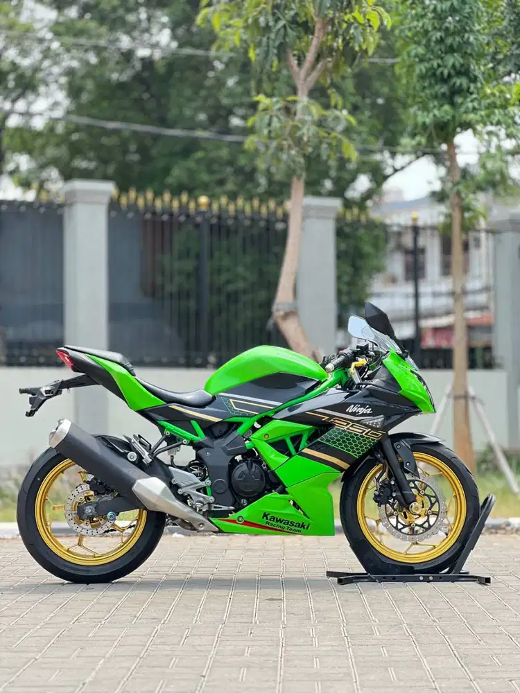 KAWASAKI NINJA 250 MONO SL 2019 HIJAU KRT KM LOW PAJAK PANJANG MULUS