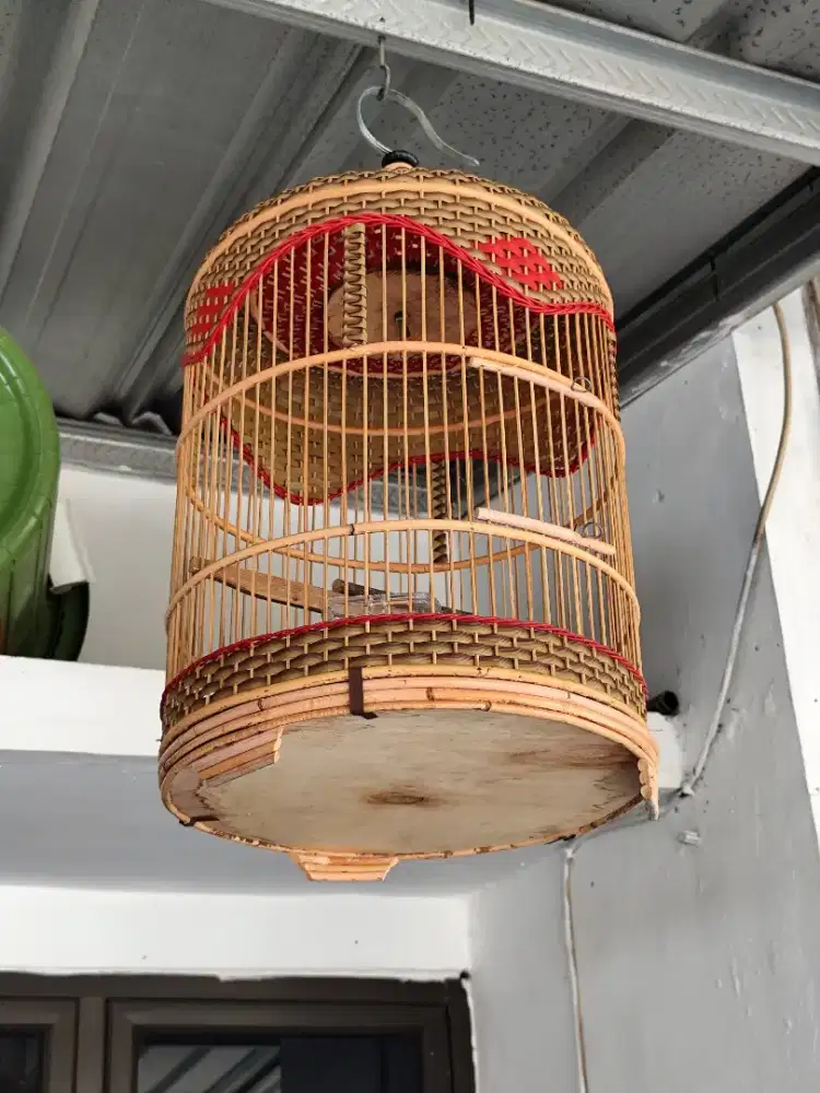 Jual sangkar burung