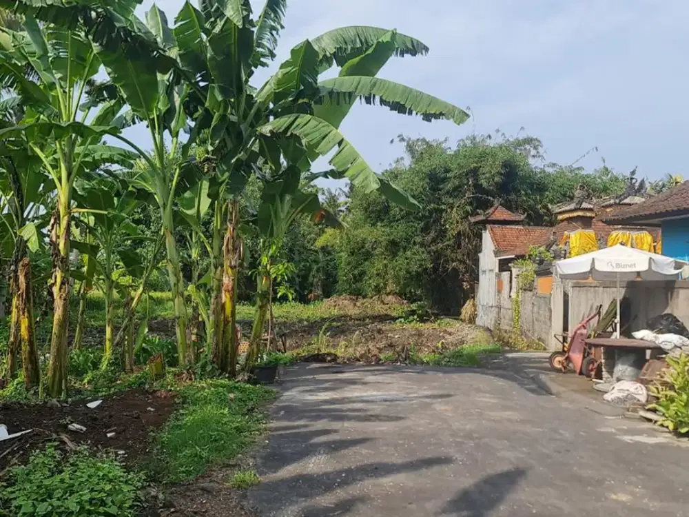 Freehold - Startegic and in By Pass Tanah Lot