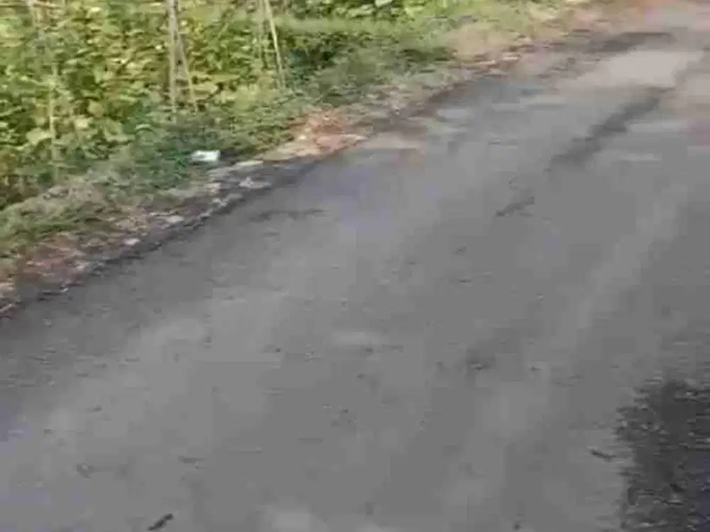 tanah sawah