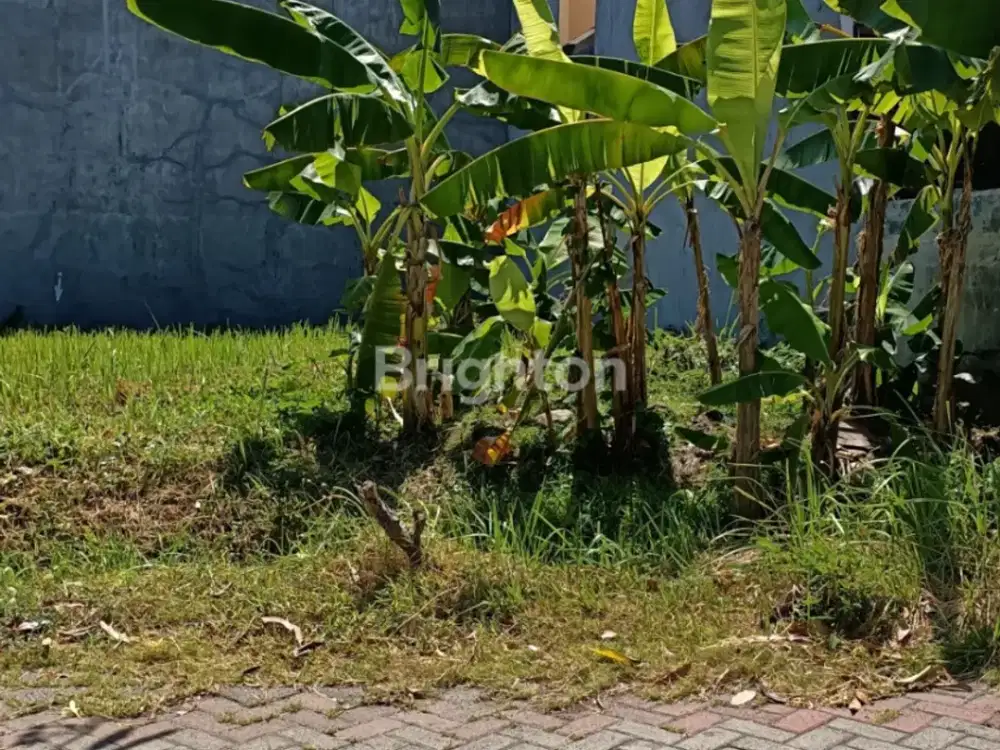 Djual Buyer Only Turun Harga Kavling Araya 2 Murah