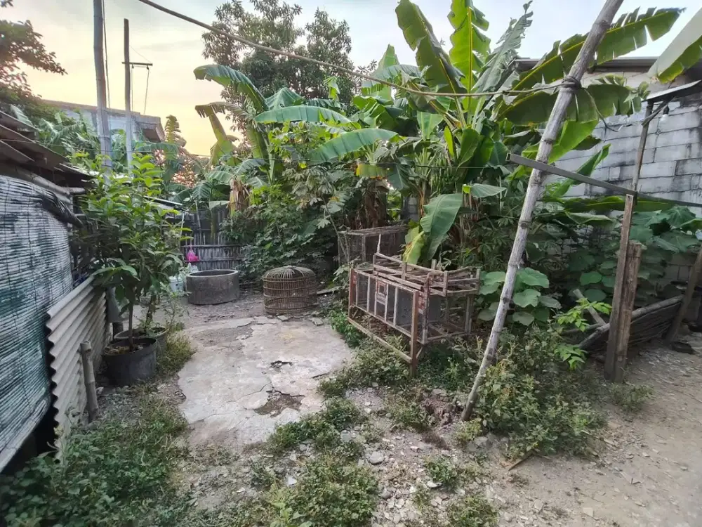 Jual Tanah murah Lokasi Pademonegoro Sukodono Sidoarjo