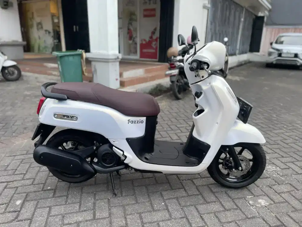Fazzio Lux 2024 Pajak Panjang