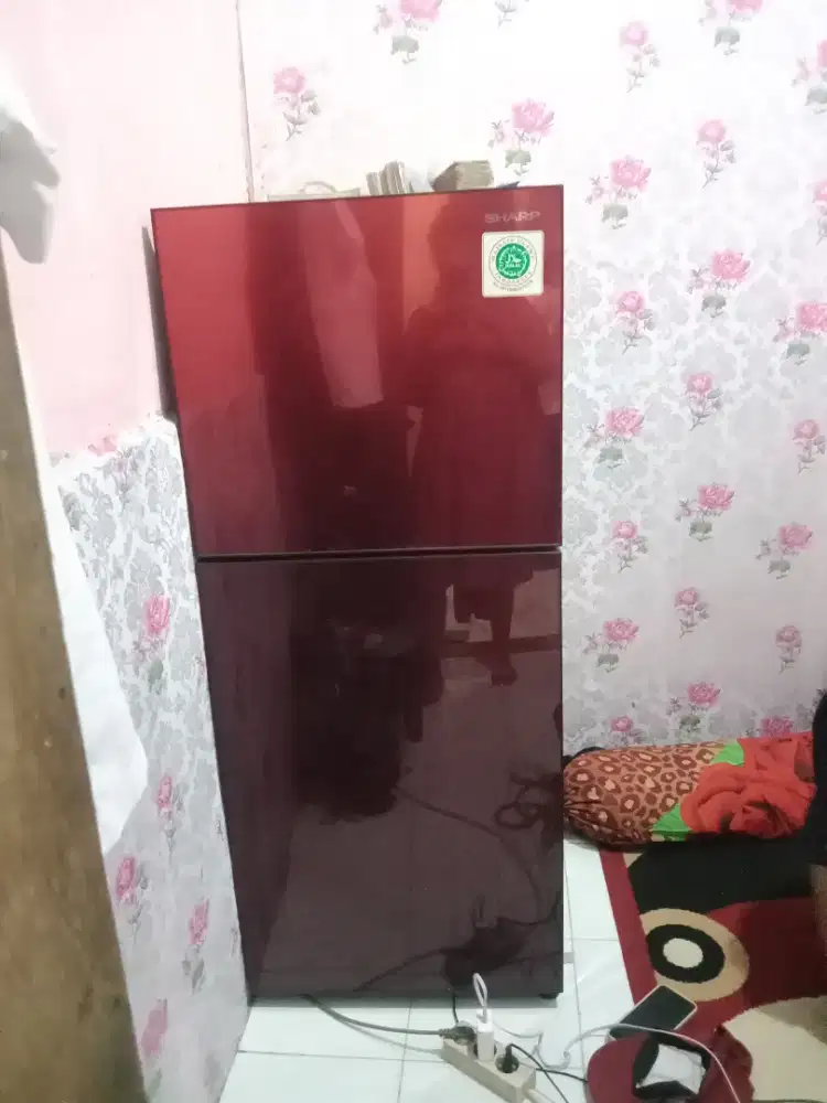Kulkas Sharp 2 pintu
