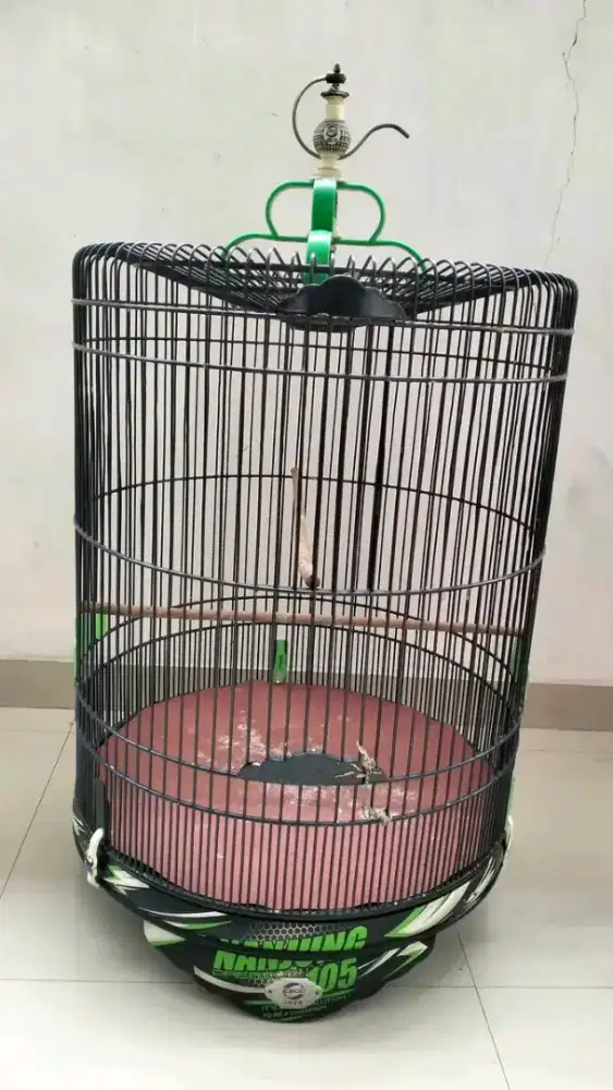 kandang murai ebod nanjung no.2